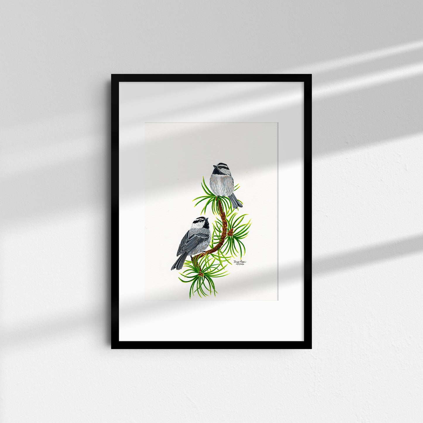 Mountain Chickadees