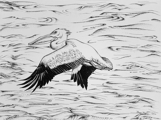 Pelican Waves