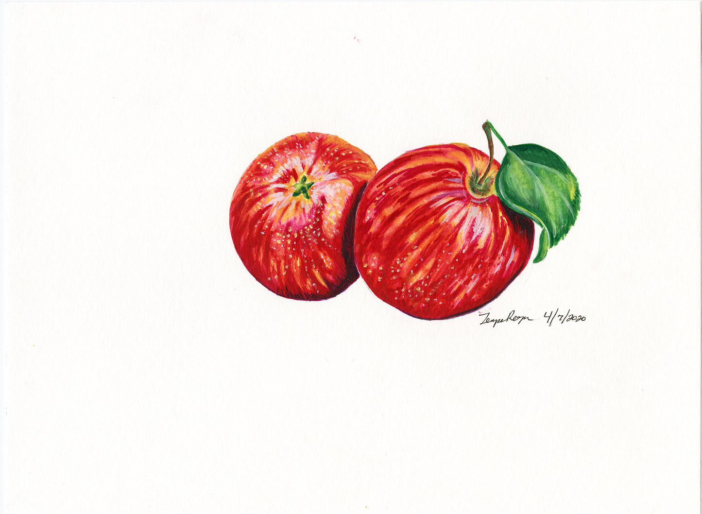 Fruits and Vegetables Series