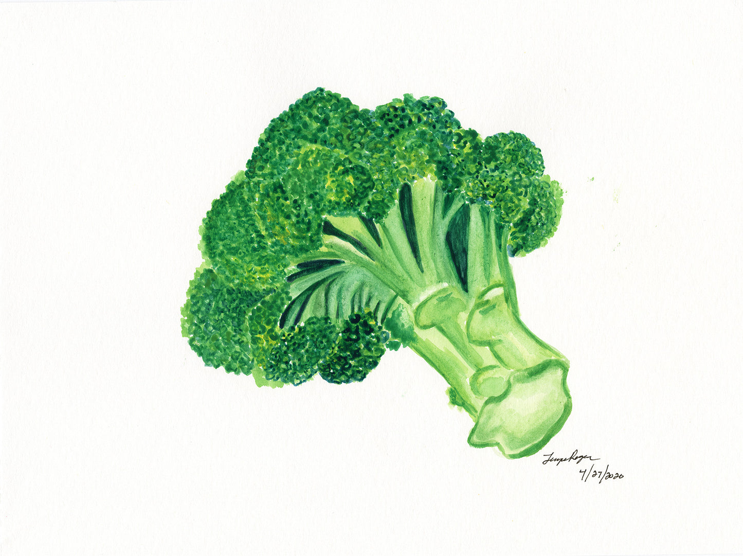 Fruits and Vegetables Series