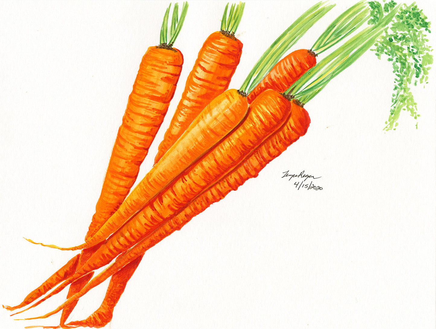 Fruits and Vegetables Series