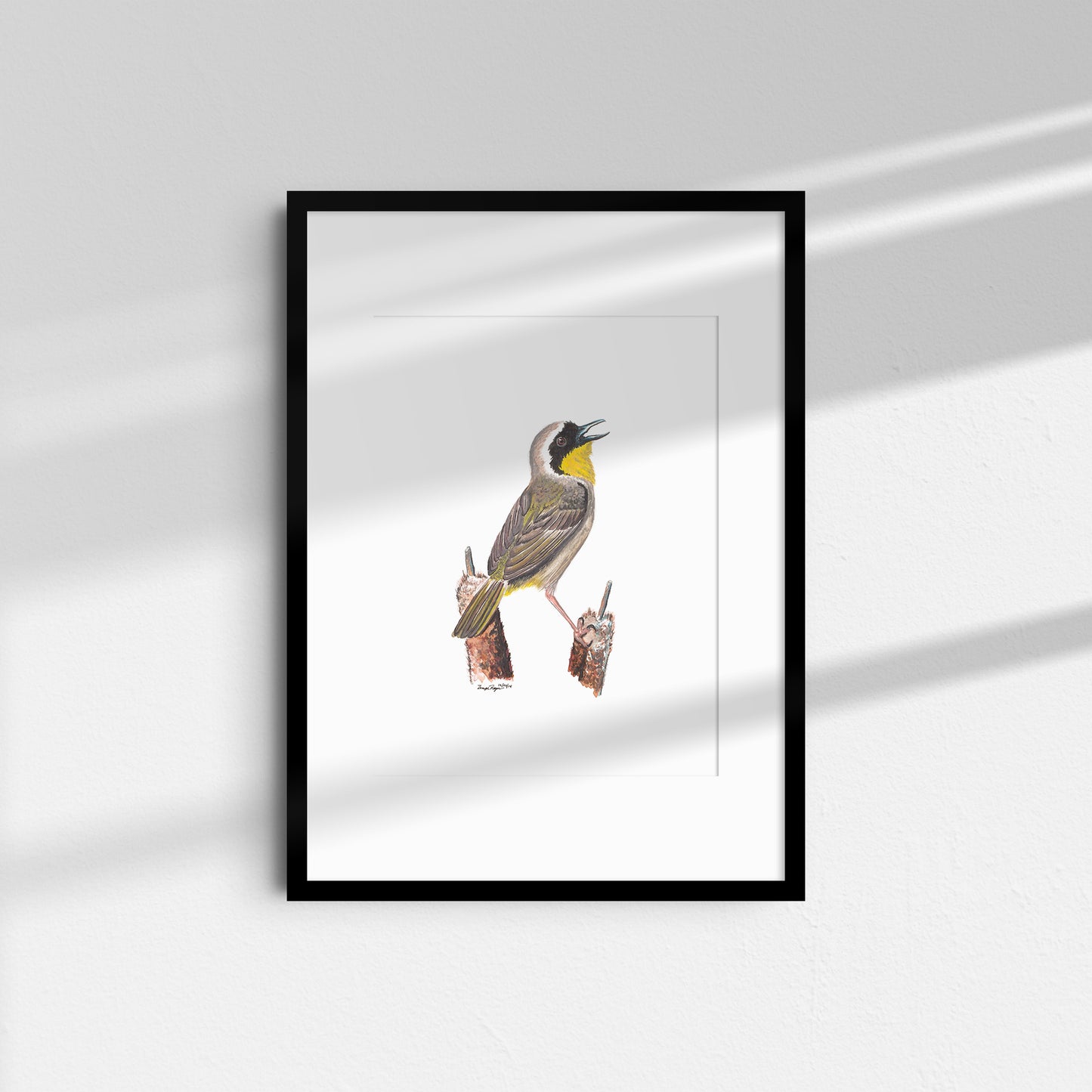 Common Yellowthroat