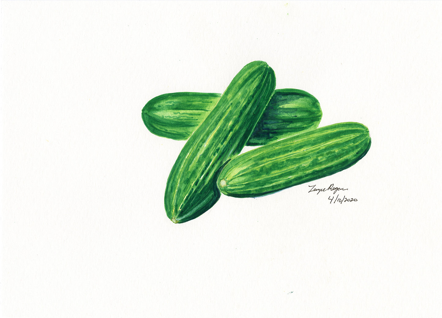 Fruits and Vegetables Series