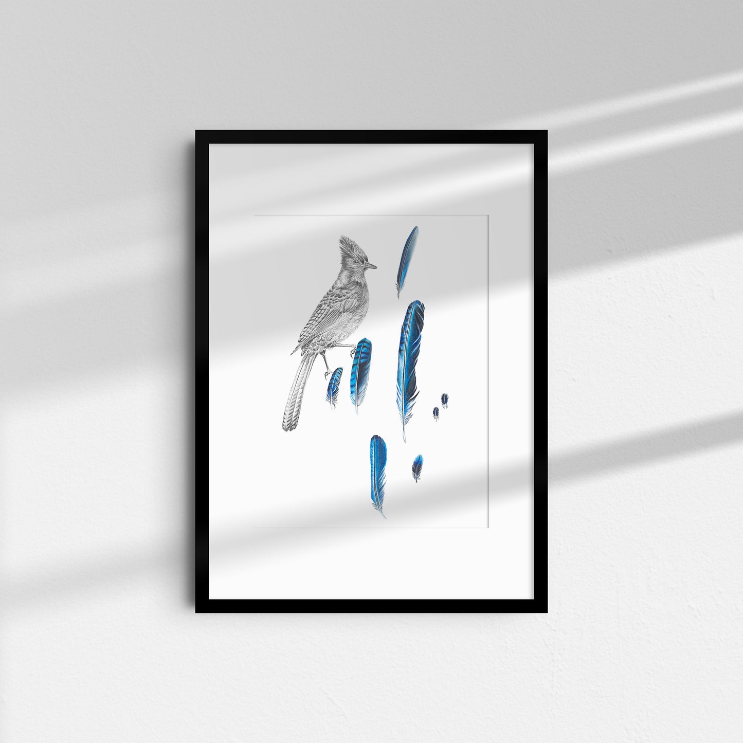 Ghost Jay