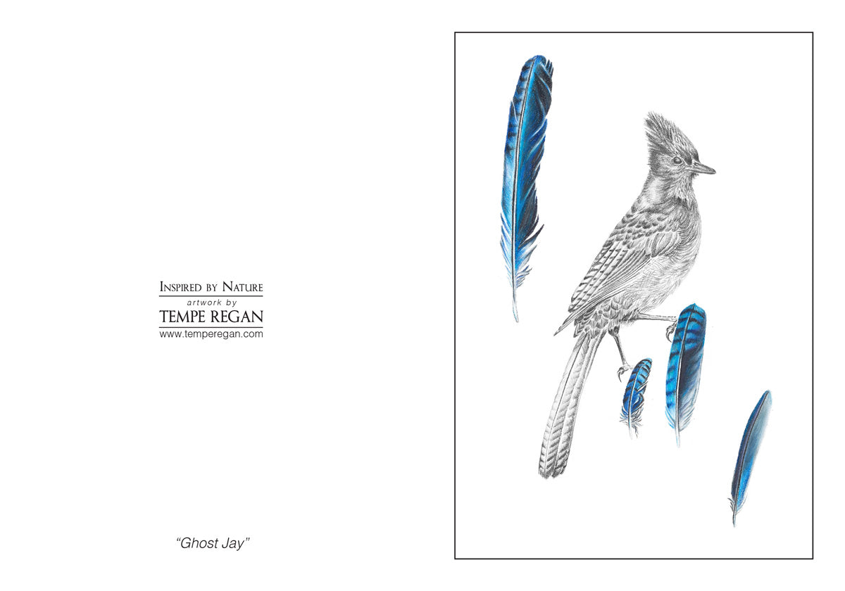 Feather Study Card