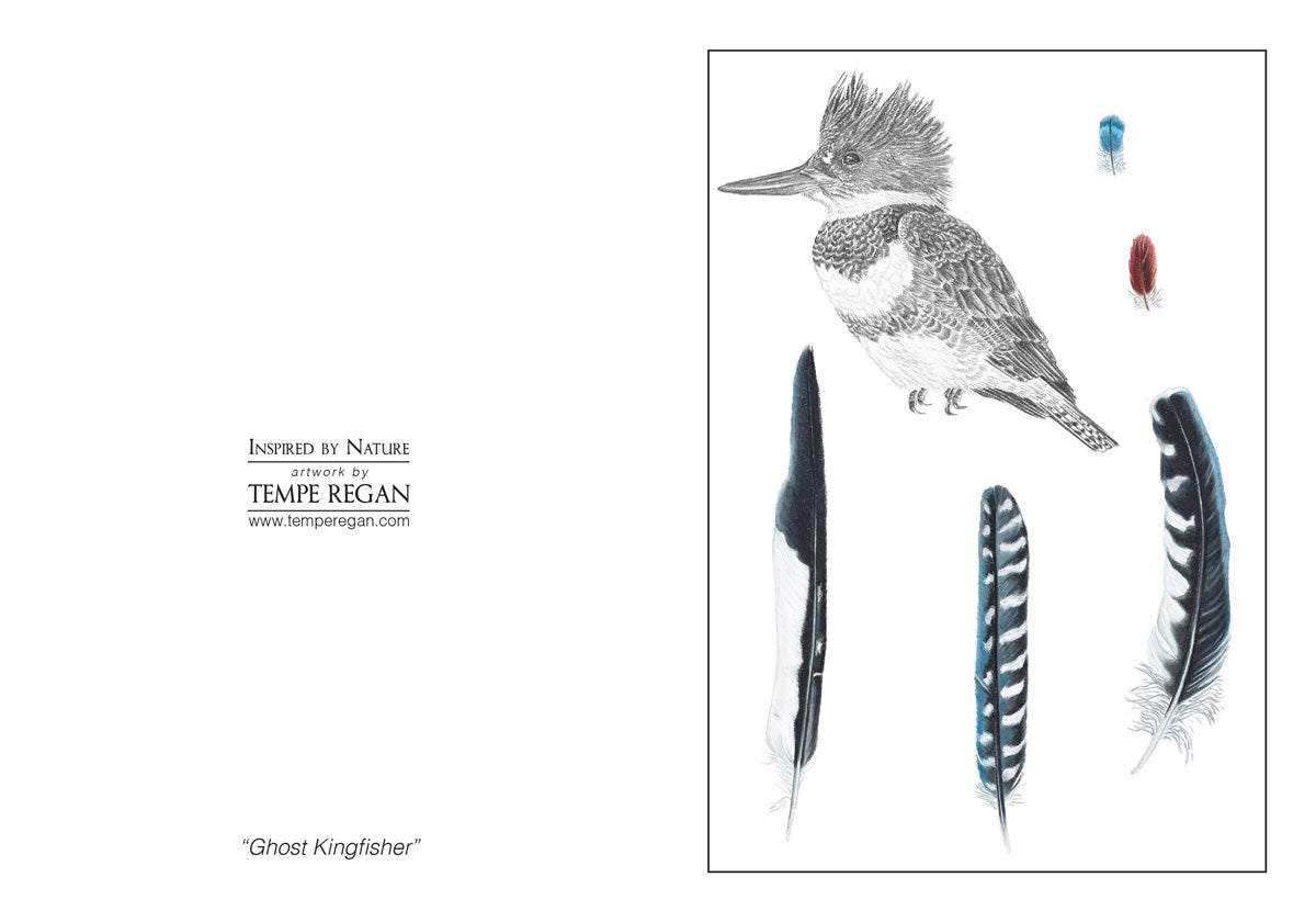 Feather Study Card