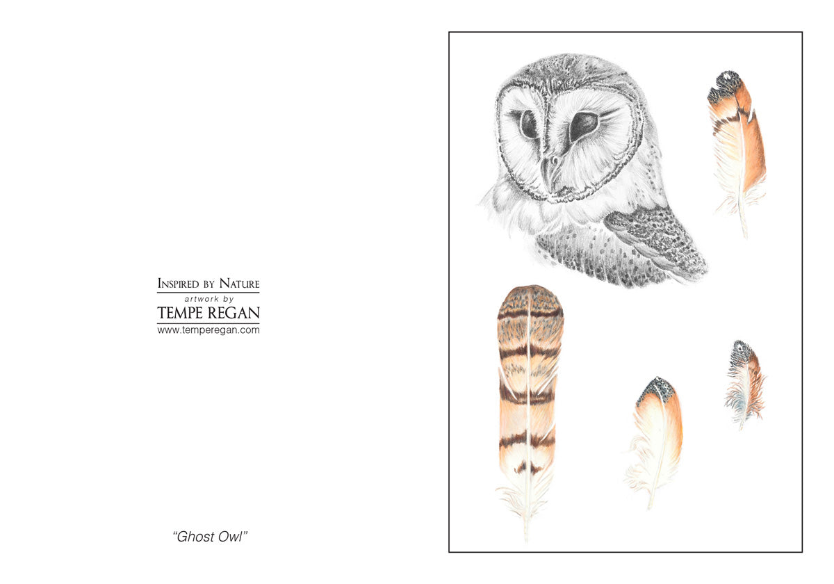 Feather Study Card