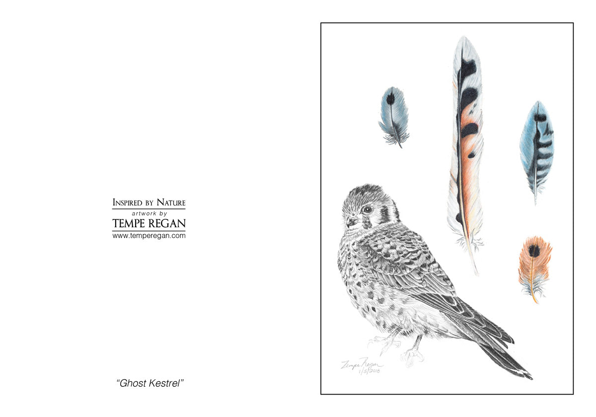 Feather Study Card