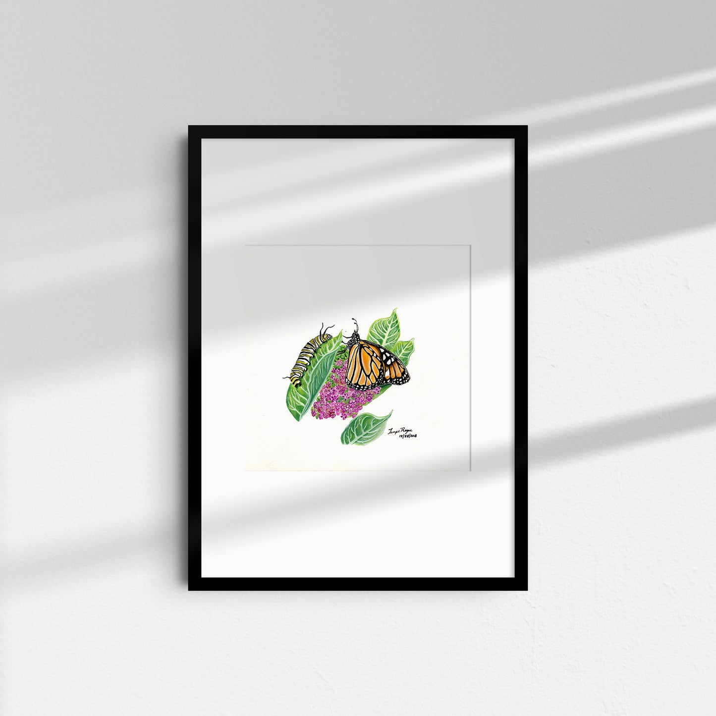 Monarch Butterfly