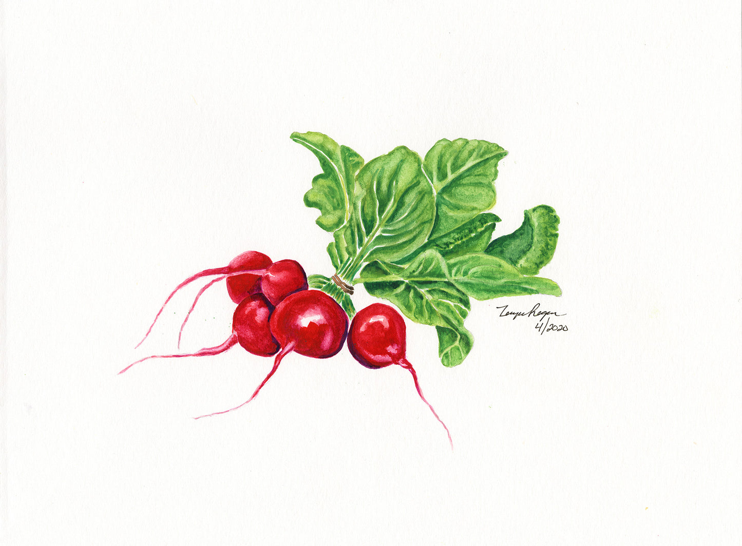 Fruits and Vegetables Series