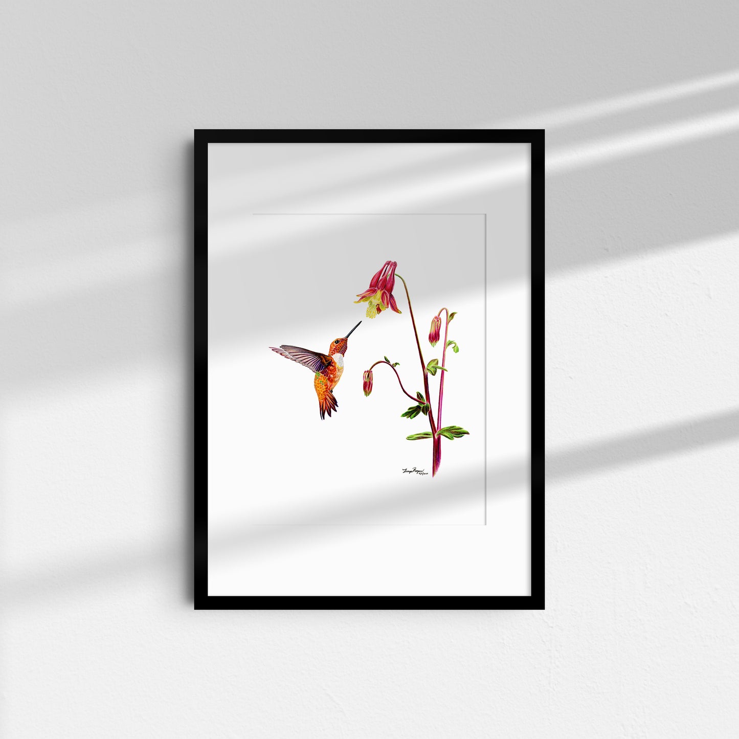 Rufous and Red Columbine