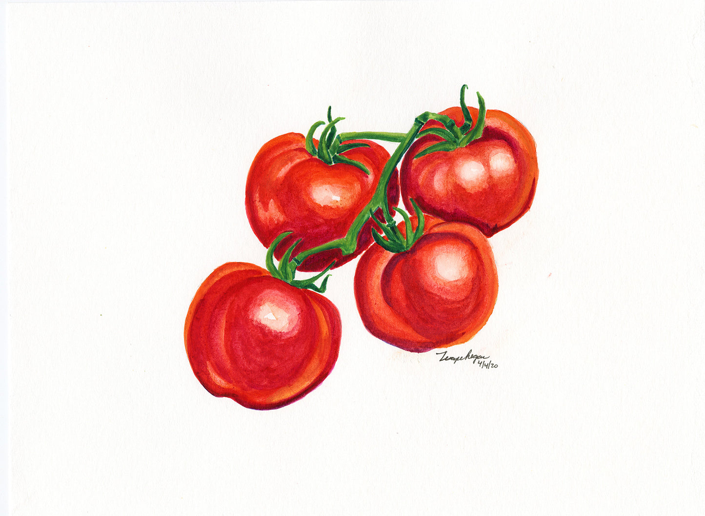Fruits and Vegetables Series