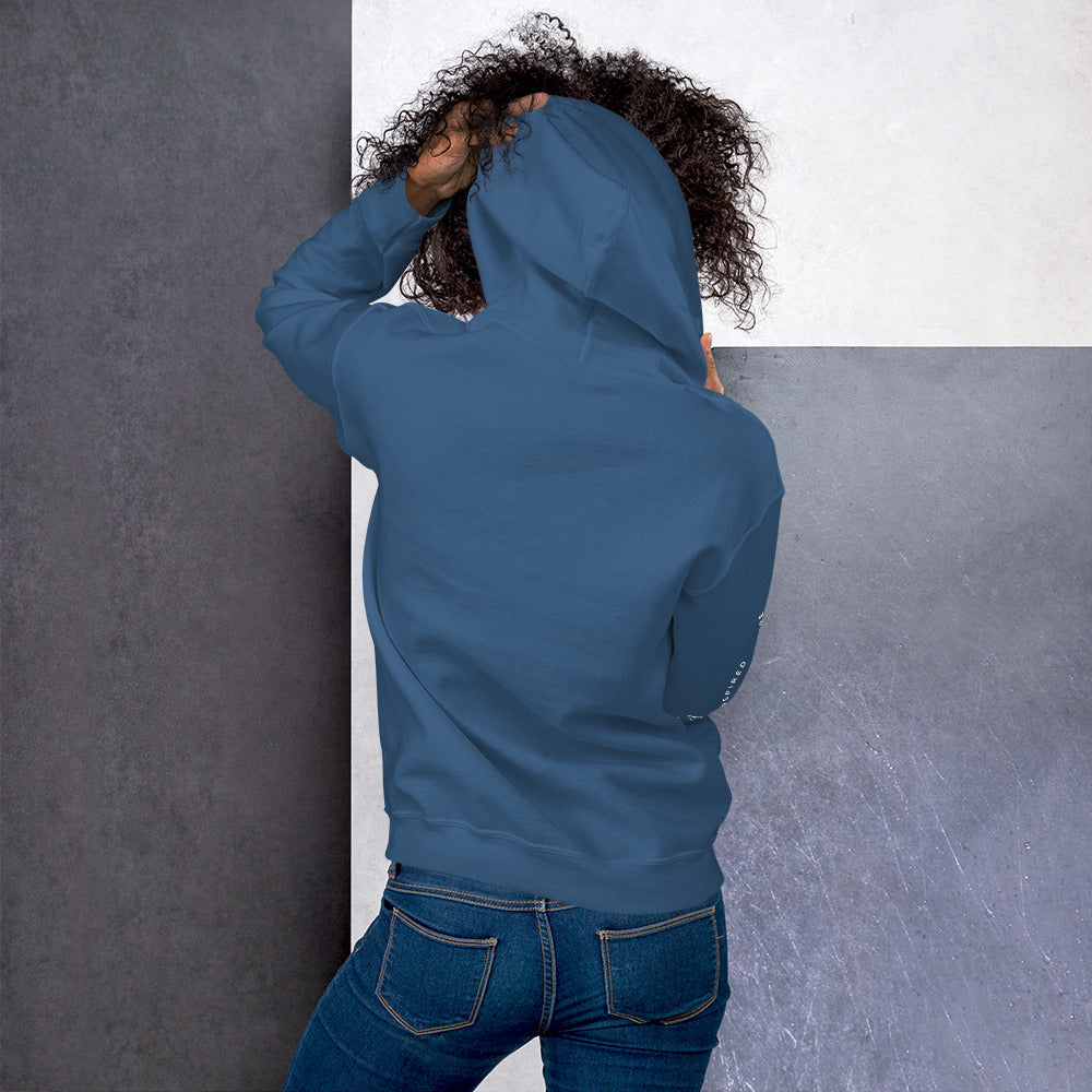 Black Rosy-finch Unisex Hoodie
