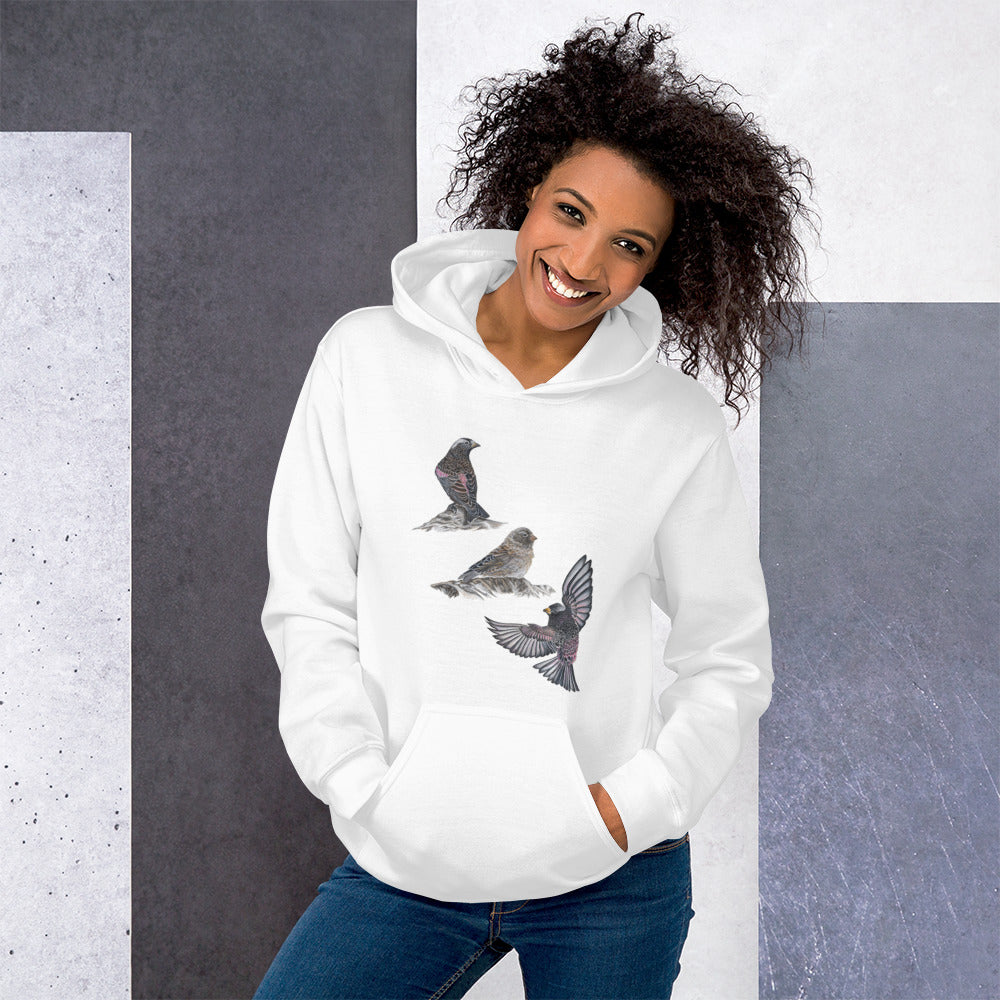 Black Rosy-finch Unisex Hoodie