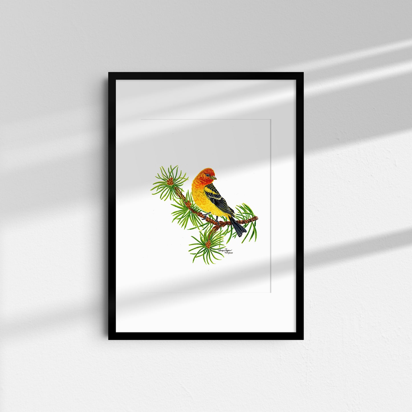 Western Tanager