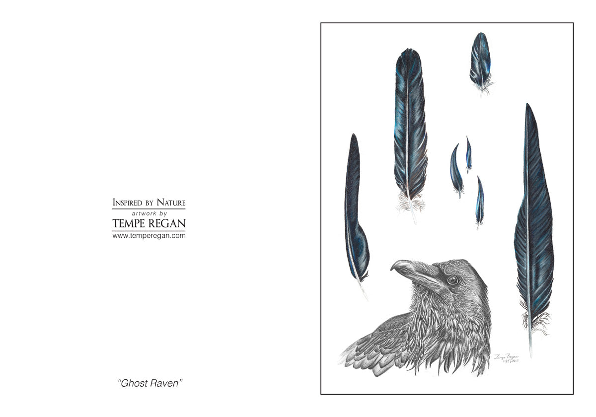 Feather Study Card